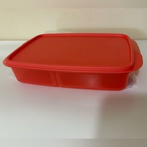 Tupperware Lunch-It
Keeper Divided bento Lunch box.